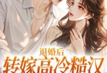 已完结小说《退婚后转嫁高冷糙汉，渣男悔疯了》章节在线阅读-书评酱