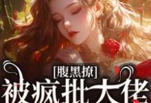 完结版《腹黑撩！被疯批大佬暗诱攻陷》章节目录在线阅读-书评酱