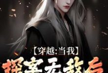 穿越:当我探案无敌后,身份被爆了苏清和小说完结版章节在线阅读-书评酱