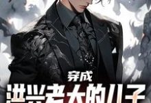 穿成洪兴老大的儿子，我满满正能量小说的免费电子版在哪里可以下载或阅读？-书评酱