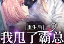 《重生后，我甩了霸总享单身夜》小说大结局免费试读 宁秋棠江晟小说-书评酱