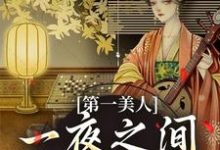 第一美人,一夜之间沦为笑柄这本小说完结了吗?免费查看最新章节-书评酱