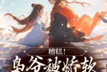 在线免费阅读糟糕!枭爷被娇软夫人训成狗了完整小说-书评酱