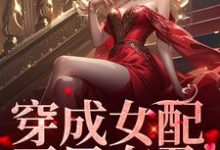 完结版《穿成女配，开局有孕》免费阅读-书评酱