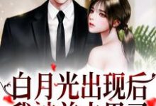 姜稚沈卿尘小说白月光出现后,我被前夫甩了在线阅读-书评酱