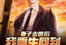 小说《妻子去世后,我重生回到高考那年》章节免费阅读-书评酱