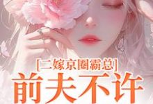 二嫁京圈霸总,前夫不许来捣乱阮莞厉渊小说完结版章节在线阅读-书评酱