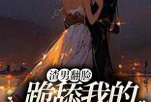《渣男翻脸,跪舔我的时候忘了?》小说林雾声谈则序章节章节免费在线阅读-书评酱