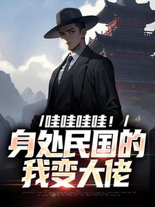 哇哇哇哇！身处民国的我变大佬苏墨小说完结版章节在线阅读