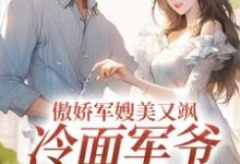 傲娇军嫂美又飒,冷面军爷被拿捏岑婧怡顾延卿,傲娇军嫂美又飒,冷面军爷被拿捏章节在线阅读-书评酱