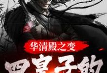 免费看华清殿之变:四皇子的皇权之路小说的网站有哪些?-书评酱
