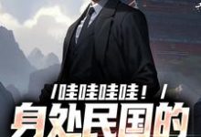 哇哇哇哇!身处民国的我变大佬苏墨小说免费阅读-书评酱