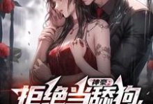 小说《神豪：拒绝当舔狗，我要做渣男》章节免费阅读-书评酱