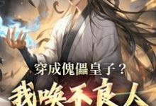穿成傀儡皇子?我唤不良人夺证权!小说无弹窗阅读的网站推荐-书评酱