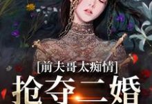 小说《前夫哥太痴情，抢夺二婚新郎席位》在线章节阅读-书评酱