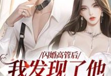管月靳少川小说闪婚高管后，我发现了他惊人的秘密在线阅读-书评酱