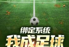 绑定系统：我成足球小飞人安迪小说大结局免费试读-书评酱