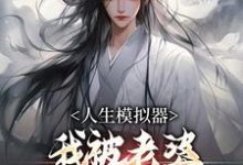 小说《人生模拟器:我被老婆逼成世间极境》在线章节阅读-书评酱