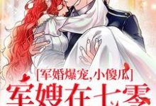 许烟宋言彻小说军婚爆宠,小傻瓜军嫂在七零赢麻了在线阅读-书评酱