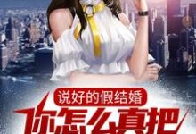 说好的假结婚，你怎么真把女神拿下了？小说阅读，说好的假结婚，你怎么真把女神拿下了？完结版-书评酱