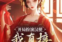 开局扮演汉使,我直接收揽后宫这本小说在哪里可以看?哪里有免费试读章节?-书评酱