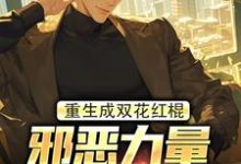 完结版《重生成双花红棍，邪恶力量颤抖吧！》免费阅读-书评酱