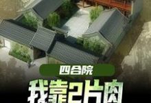 王建安秦淮茹小说四合院：我靠2片肉俘获秦淮茹芳心在线阅读-书评酱