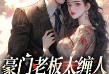 豪门老板太缠人，为她折腰为她疯小说最新章节在哪里可以读到？-书评酱