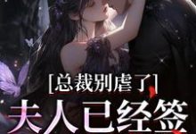 总裁别虐了,夫人已经签了离婚书这本小说在哪里可以看?哪里有免费试读章节?-书评酱