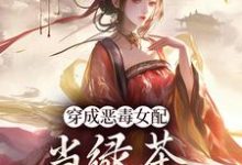 小说《穿成恶毒女配,当绿茶这么有趣?》在线章节阅读-书评酱