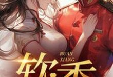 不是大哥，你兜这大一圈就为娶我小说，不是大哥，你兜这大一圈就为娶我在线阅读-书评酱