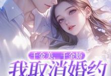 千金美,千金娇,我取消婚约你哭啥小说全文哪里可以免费看?-书评酱