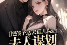 把孩子送去孤儿院后，夫人谋划总裁家产免费阅读，把孩子送去孤儿院后，夫人谋划总裁家产章节在线阅读-书评酱