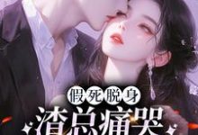 已完结小说《假死脱身,渣总痛哭流涕求我归家》最新章节-书评酱