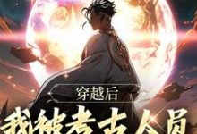 求穿越后,我被考古人员计入档案了!小说免费资源-书评酱