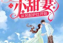 《八零娇娇小甜妻，从另起炉灶开始》全集免费在线阅读（戴东林楚榆）-书评酱