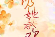 完结版《诱她承欢》章节目录在线阅读-书评酱