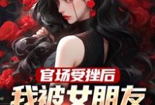 已完结小说《官场受挫后,我被女朋友甩了》在线章节阅读-书评酱