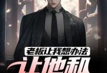 老板让我想办法,让他和老婆离婚小说全文哪里可以免费看?-书评酱