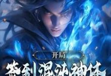完结版《开局签到混沌神体，我举世无敌》章节阅读-书评酱