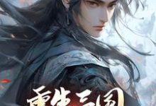 重生三国,开局黄巾起义张新小说在线章节目录阅读最新章节-书评酱