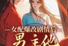 姜问无忧玑小说女配爆改剧情后,男主他坐不住了在线阅读-书评酱