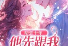 寻找能够免费阅读暗恋十年，他先跟我表白了小说的平台-书评酱