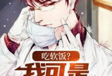 完结版《吃软饭？我可是千古医圣》章节阅读-书评酱