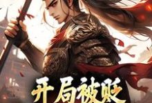 小说《开局被贬,我要掠夺江山》在线章节阅读-书评酱