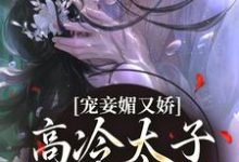 求推荐可以免费阅读宠妾媚又娇，高冷太子为她失了魂小说的网站-书评酱