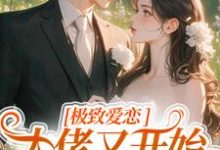 极致爱恋,大佬又开始攻心了季染傅京渊小说大结局免费试读-书评酱