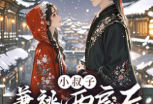 已完结小说《小叔子兼祧两房后，嫂嫂她逃了》章节免费阅读-书评酱