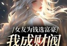 寻找能够免费阅读女友为钱选富豪,我成财阀她后悔了小说的平台-书评酱