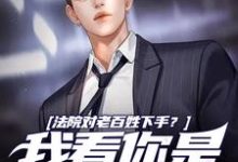 《法院对老百姓下手？我看你是活腻了》小说章节列表免费试读，周云小说在线阅读-书评酱